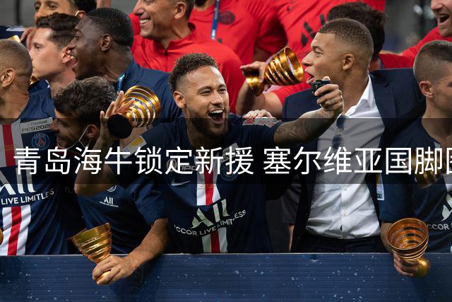 青岛海牛锁定新援 塞尔维亚国脚图费格季奇即将来华